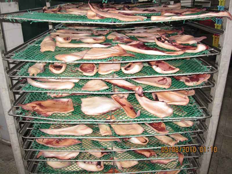 solar dryes heat pump dryes